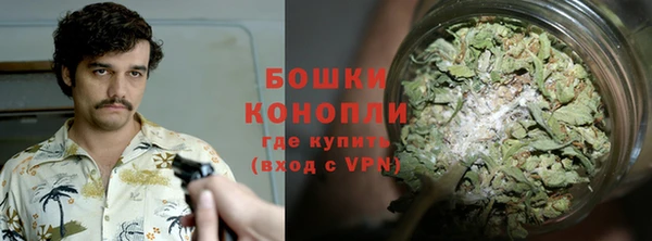 СК Вяземский