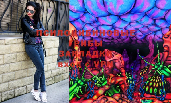 гидра Вязники