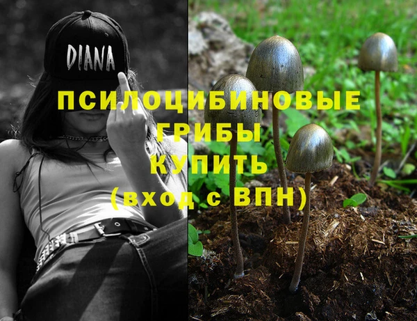 jwh Вязьма