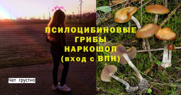 гидра Вязники