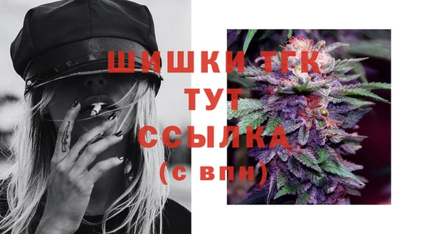 гидра Вязники