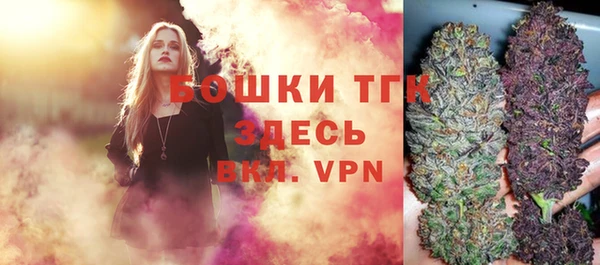 гидра Вязники